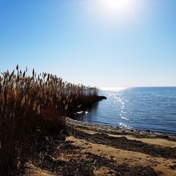 Scenic view of sea against clear sky