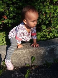 High angle view of cute girl sitting on retaining wall