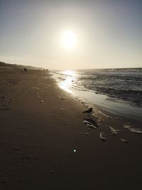 Scenic view of beach against clear sky during sunset