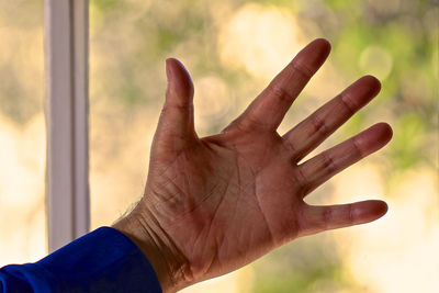 Close-up of hand against blurred background