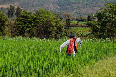 Rear view of man on field against trees