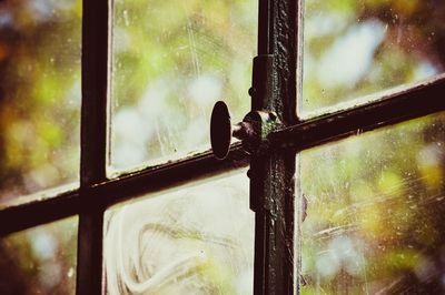 Close-up of wet glass window