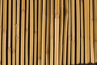 Full frame shot of bamboo