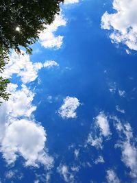 Low angle view of trees against blue sky