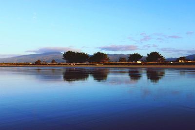 Reflection of trees in calm lake