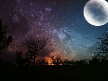 Silhouette trees against moon and star field in sky at night