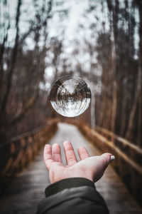 Cropped image of hand catching crystal ball against trees