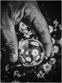 Close-up of human hand holding ball