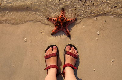 Female feet on the beach and a starfish