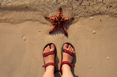 Low section of person standing on beach