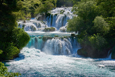 View of waterfall in forest