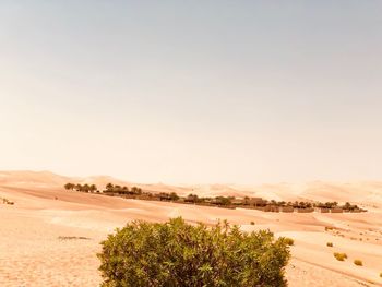 Scenic view of desert against sky