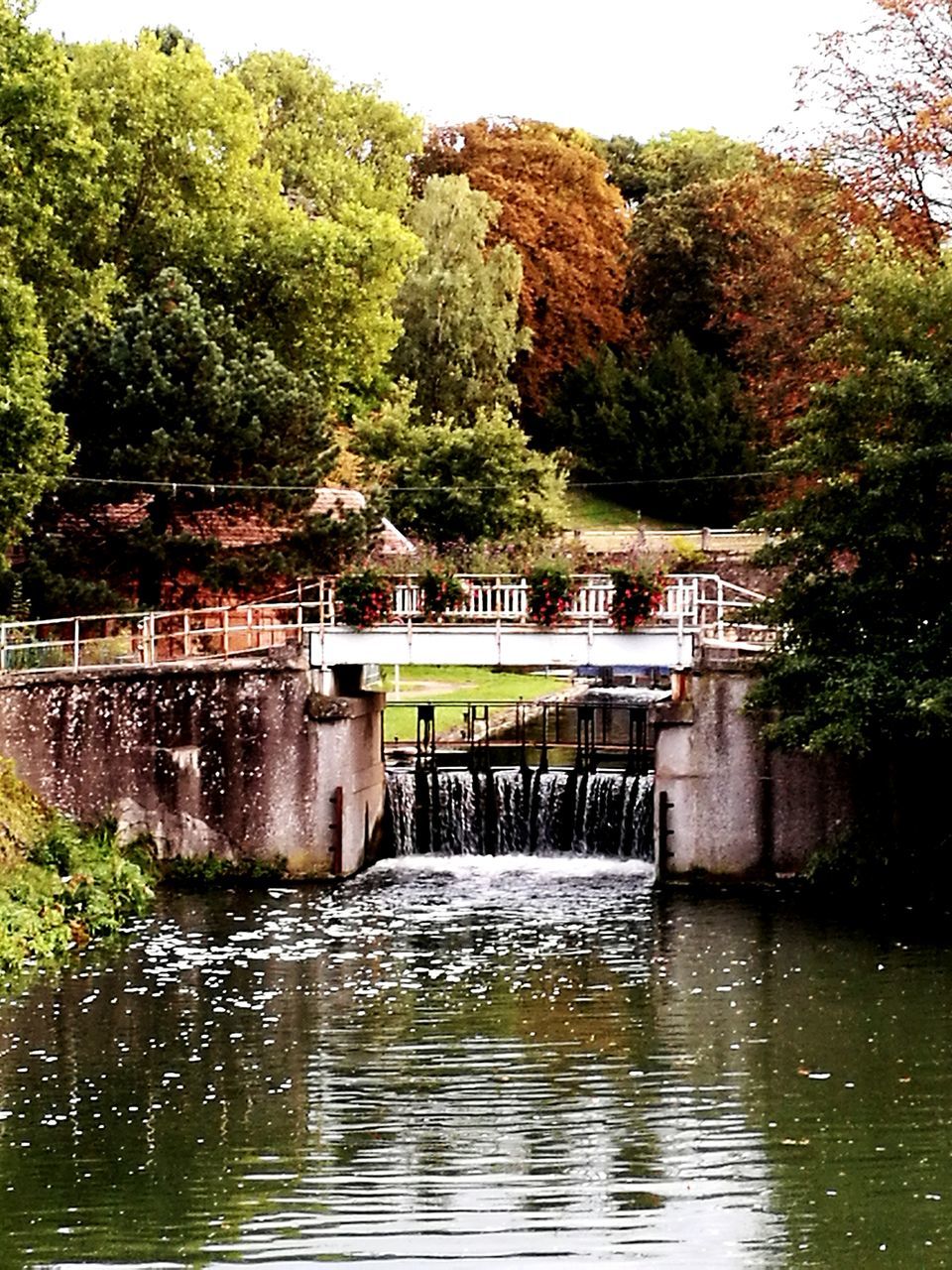 BRIDGE OVER CALM RIVER AGAINST TREES