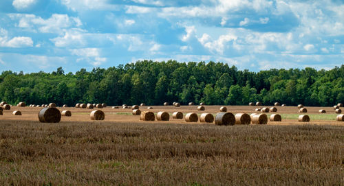 Hay bales on field against sky