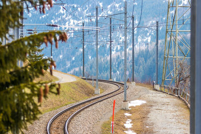View of railroad tracks by plants
