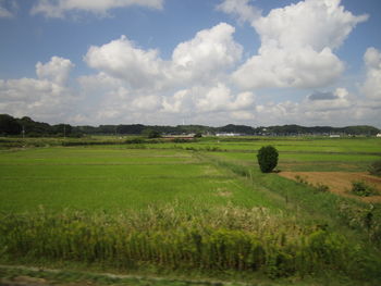 Scenic view of field against sky
