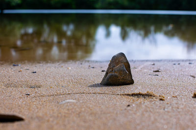 Close-up of stones on wet sand