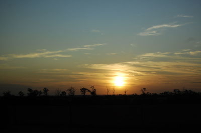 Silhouette trees against sky during sunset