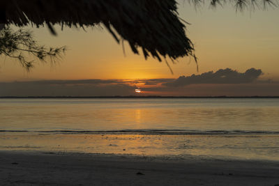 Scenic view of sea during sunset