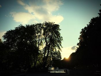 Scenic view of trees against sky