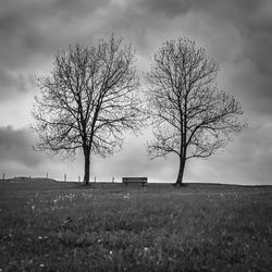 Bench amidst silhouette bare trees on field against cloudy sky