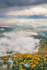 Low angle view of trees against sky during autumn