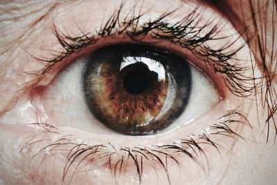 Close-up of human eye