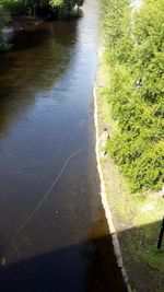 High angle view of horse in water