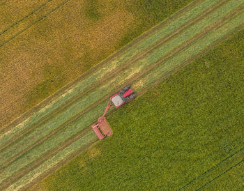 Aerial view of agricultural field