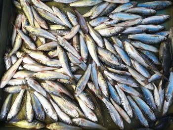 Full frame shot of fish for sale in market