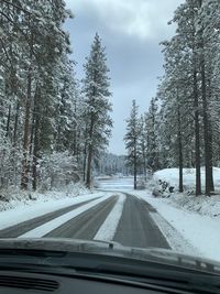 Road amidst trees seen through car windshield during winter