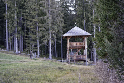 View of hut in forest