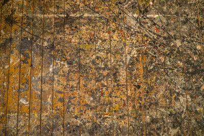Full frame shot of cracked wall