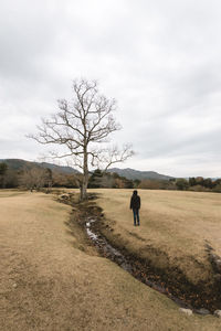 Rear view of man walking on field against sky