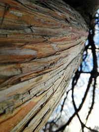 Close-up of wooden wall