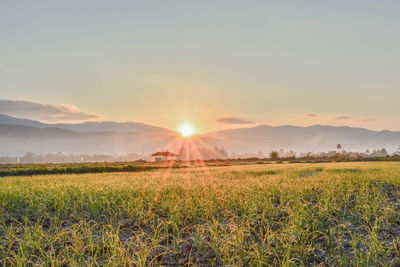 Scenic view of field against sky during sunset