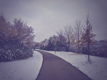 Empty road along trees