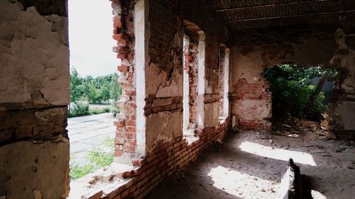 Plants in corridor