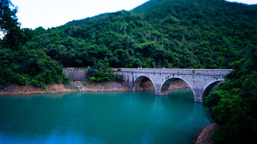 Arch bridge over river against trees