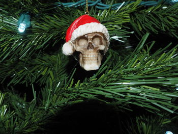 Close-up of skull toy hanging from christmas tree