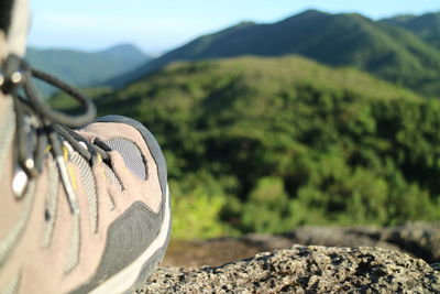 Close-up of landscape with mountain range in background