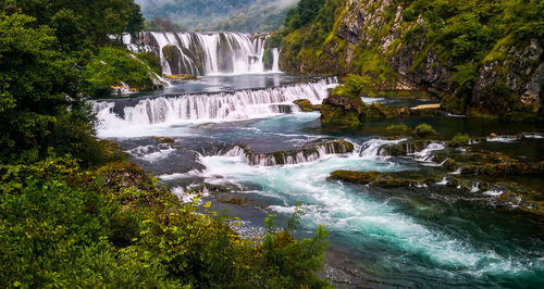 Scenic view of waterfall in forest