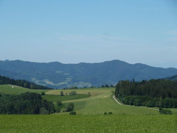 Scenic view of landscape against sky