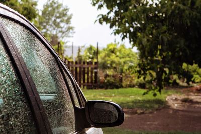 Close-up of wet side-view mirror of car