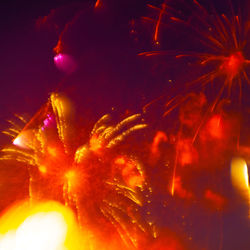 Low angle view of firework display at night