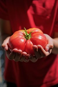 Close-up of hand holding red berries