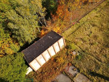 High angle view of trees in forest