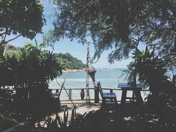 Table and bench amidst trees against sea on sunny day