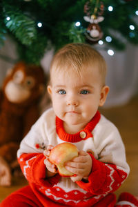 Portrait of cute baby girl eating apple against christmas tree at home