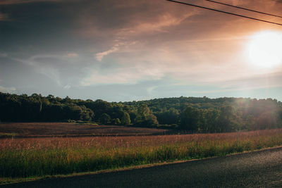 Scenic view of field against sky at sunset